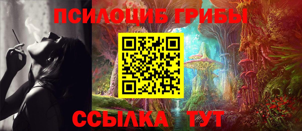 Псилоцибиновые грибы Magic Shrooms  Вход с VPN  Псилоцибиновые грибы прущие грибы  Мытищи 